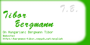 tibor bergmann business card
